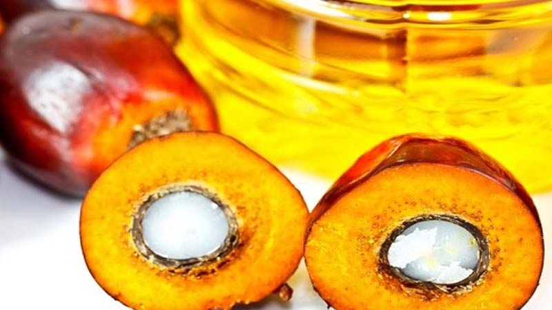 Italia akan Terus Beli Minyak Sawit Malaysia
