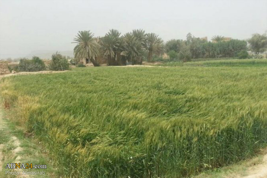 Losses of agricultural, fisheries sector exceed $3 billion caused by Saudi aggression against Yemen