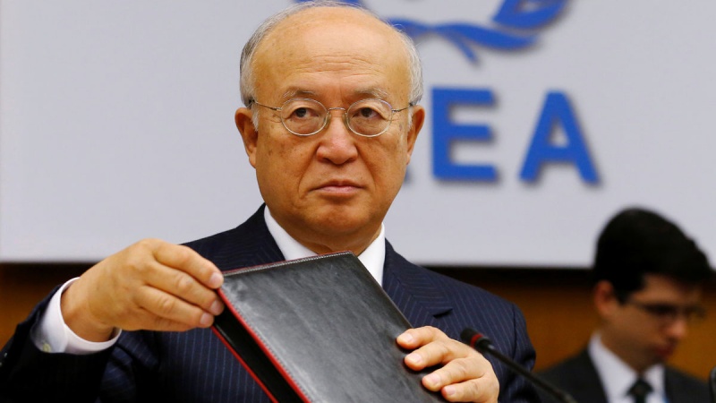 国际原子能机构总干事或提前卸任