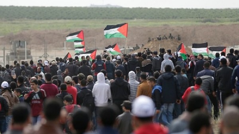 At least 56 Palestinians injured by Israeli forces during Gaza rallies