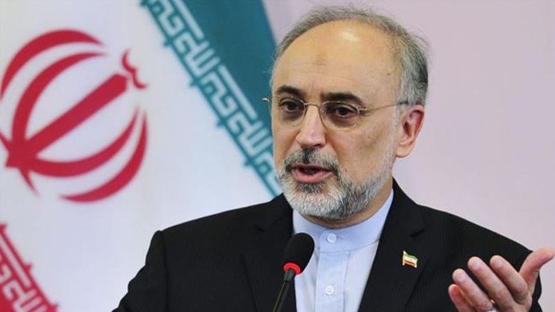Chinese, British work on Arak heavy water facility has 'picked up pace': Iran's atomic energy chief