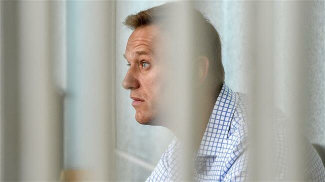 Putin critic hospitalized after 'being poisoned with unknown chemical'