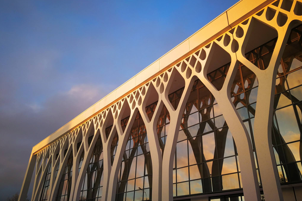  La mosquée de Mulhouse, la plus grande de France