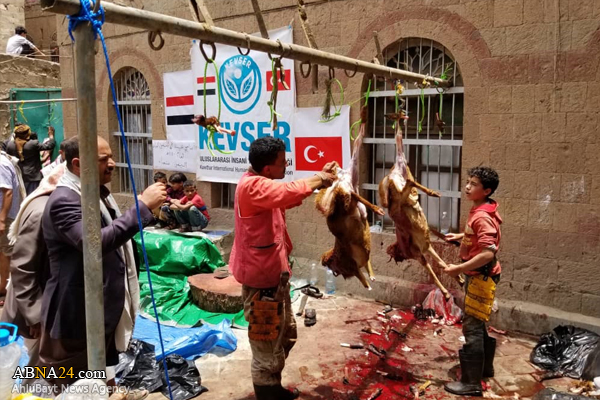 تقریر مصور/ 1000 من الأضحية لشيعة تركيا يقدمونها للمسلمين في اليمن