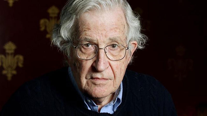 Chomsky: opporsi a Israele è “terrorismo”