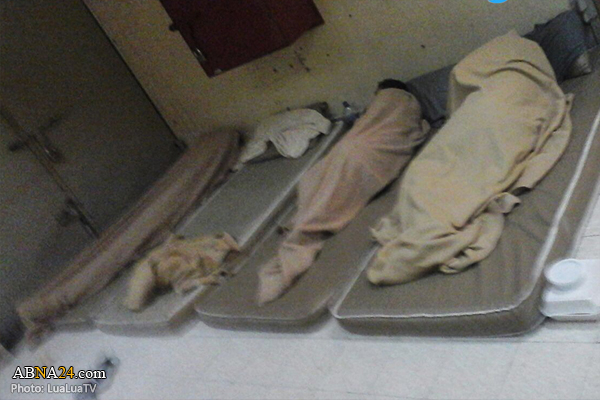 More Bahraini prisoners join mass hunger strike