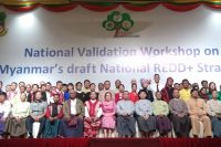 ၂၀၃၀ ျပည့္ႏွစ္တြင္ သစ္ေတာျပဳန္းတီးမႈ သုညရာခိုင္ႏႈန္းထိ ေလ်ာ့ခ်ေရး ေဆာင္႐ြက္မည္