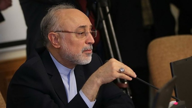 سالحی: ئێران و فەرانسا بە نیازی ئامادە کردنی بەرنامەی ھاوکاریی زانستیانەن