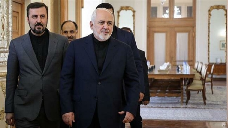  Zarif slams US-proposed 'Coalition for Peaceful Resolution' targeting Iran