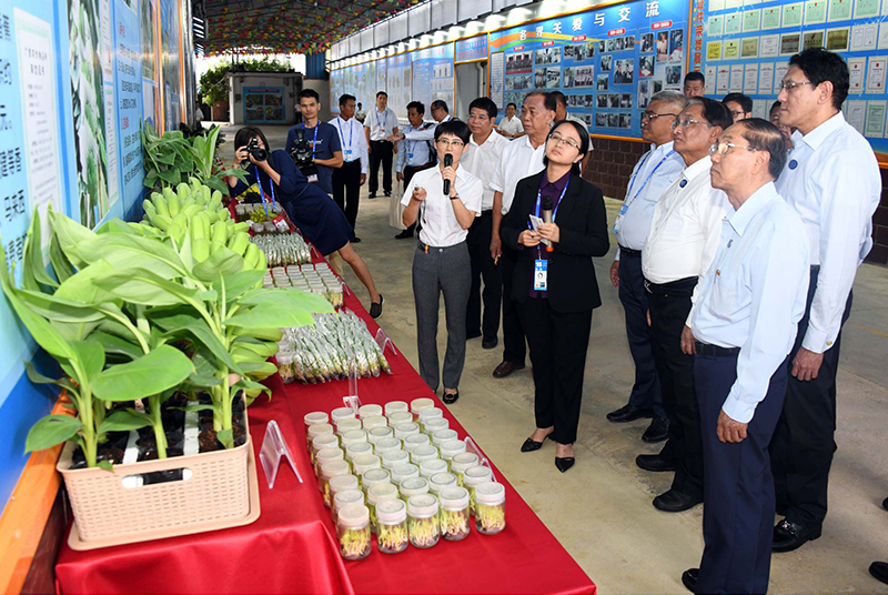 ႏိုင္ငံတကာရင္းႏွီးျမႇဳပ္ႏွံသူမ်ားအတြက္ အခြင့္အလမ္းသစ္မ်ား ဖန္တီးေပးေနဟု  ဒုသမၼတေျပာ
