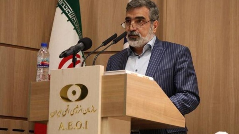 イラン原子力庁報道官、「核合意内の責務縮小のプロセスが継続」