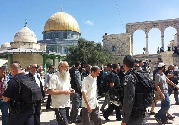 189 مستوطنا اقتحموا باحات "المسجد الأقصى" المبارك