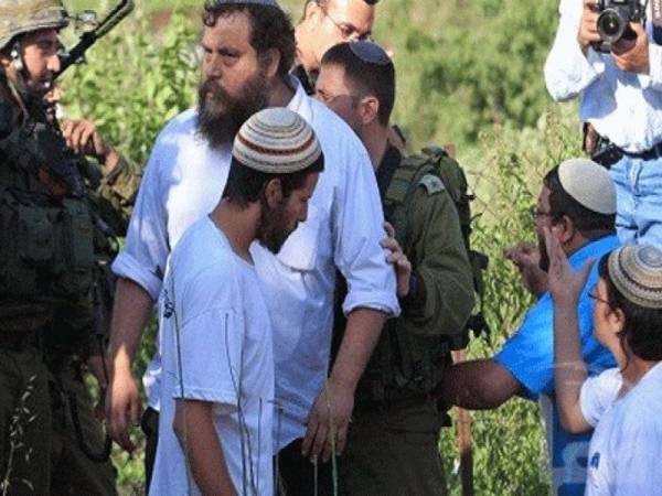 Petani Palestin Cedera Diserang Pendatang Yahudi