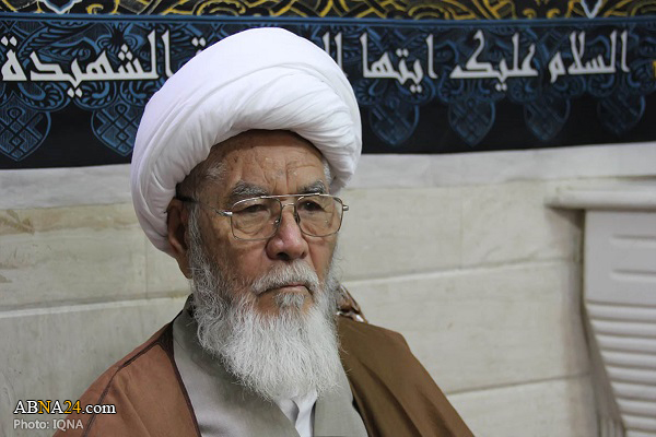 New chairman of Afghanistan Shia Council elected