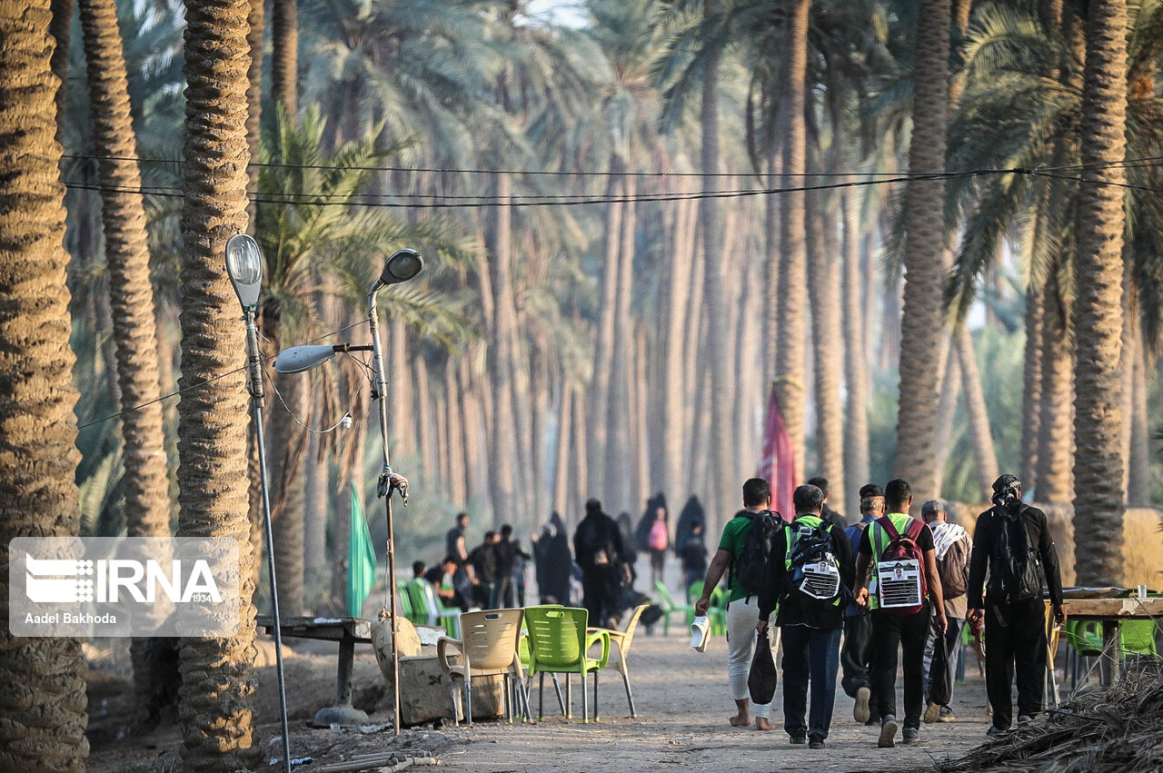  تقرير مصور/ طريق علماء لمسيرة الأربعين في النجف الاشرف 