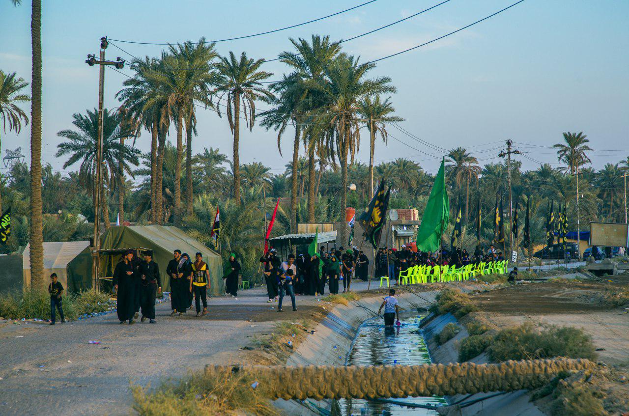 تقرير مصور/ مسيرات أربعينية الامام الحسين (ع) بين البساتين