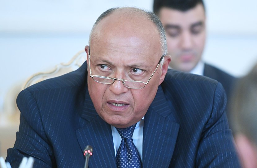 مصر تطالب بالوقف الفوري لـ"العدوان على شمال سوريا وانسحاب القوات المعتدية"