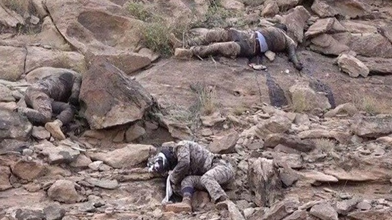 सऊदी अरब और इमारात के पैसों की लालच में मारे गए चार हज़ार सूडानी सैनिक, यमन के अनसारुल्लाह आंदोलन ने किराए के सैनिकों पर बरपाया 