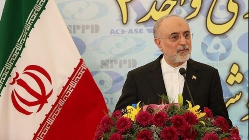 Salehi: Iran Siap Transfer Pengalaman Nuklir ke Negara Teluk