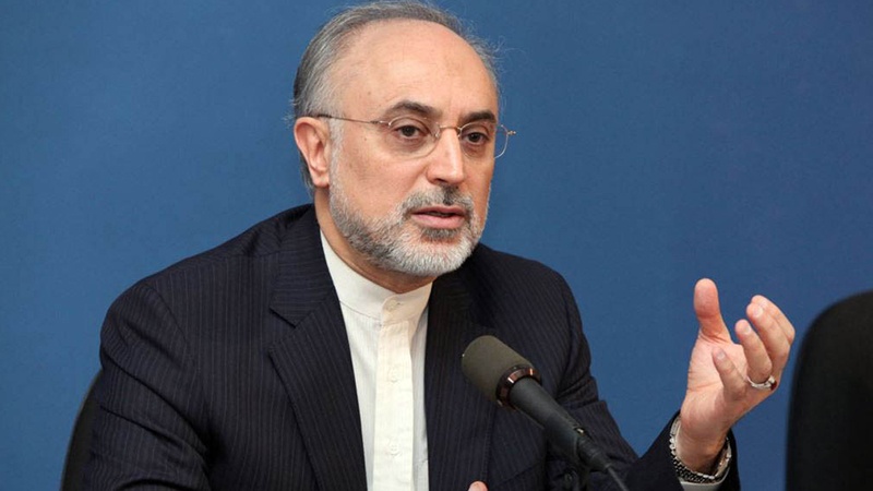 Chef der iranischen Atomenergieorganisation: JCPOA ist keine Einbahnstraße