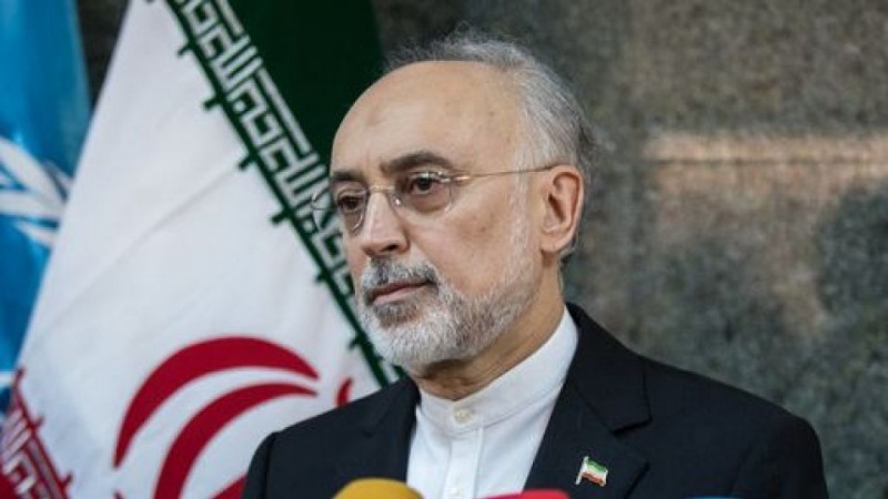 イラン原子力庁長官、「核合意は一方通行的なものではない」