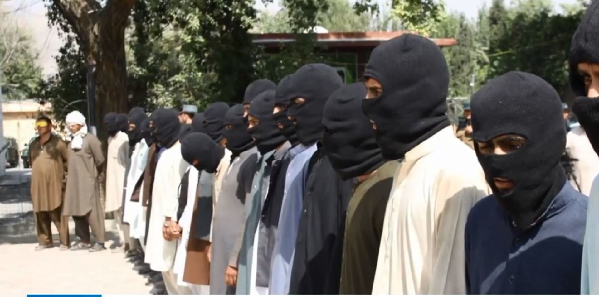 15 "داعشيا" ارهابيا يسلمون أنفسهم في ولاية ننكرهار الأفغانية