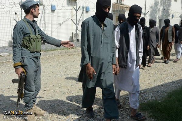Over 615 Daesh members surrendered in Afghanistan in two weeks