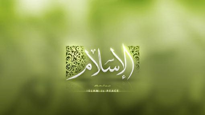 Il richiamo all’Unità Islamica- 2a parte