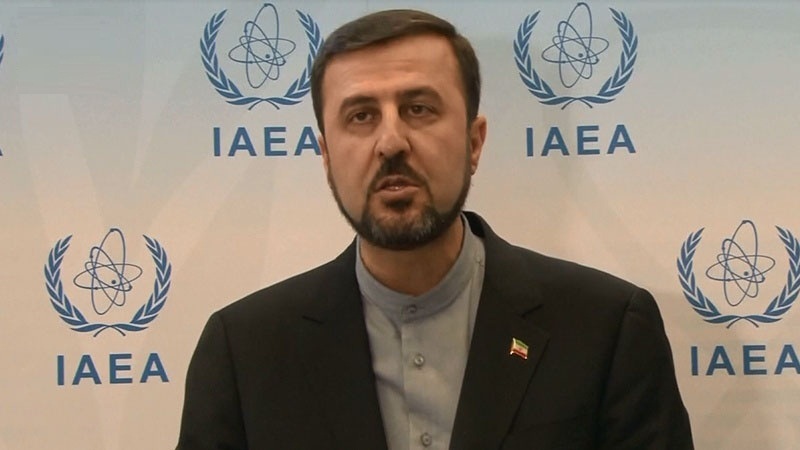 Garibabadi: İran UAEK'nun önemli bir ortağıdır