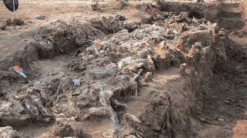 Britanski dokumenti ne mogu dovesti u pitanje presude Haškog tribunala za genocid u Srebrenici