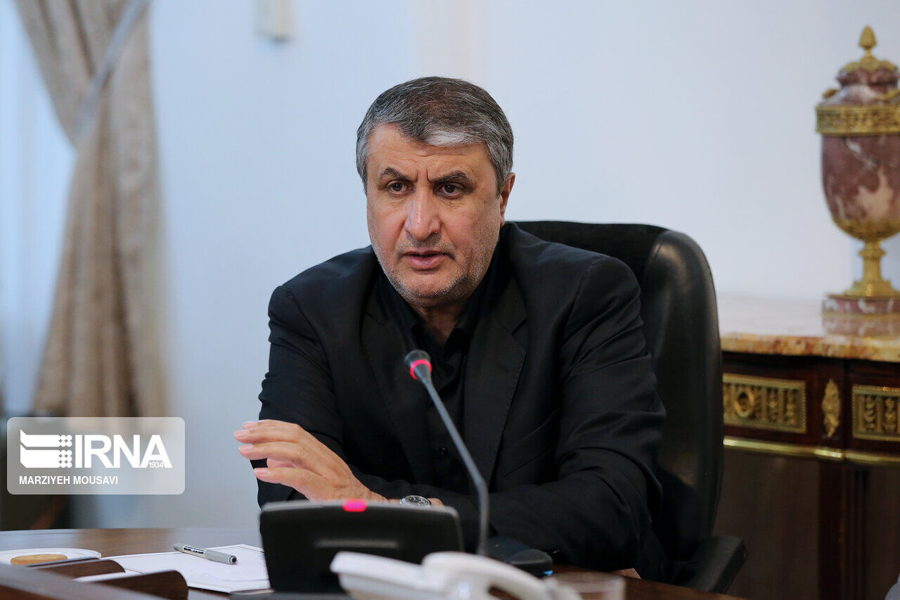 ایران اور یوکرائن مشترکہ طور پر بلیک باکس کا جائزہ لیں گے: ایرانی وزیر
