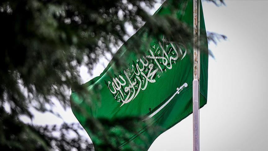 بسبب أنشطة تجسّسية.. هولندا والدنمارك تستدعيان سفيري السعودية