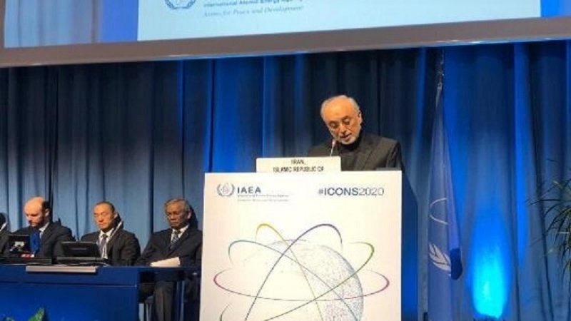 Salehi: Iran haitalegeza msimamo katika kulinda usalama wake