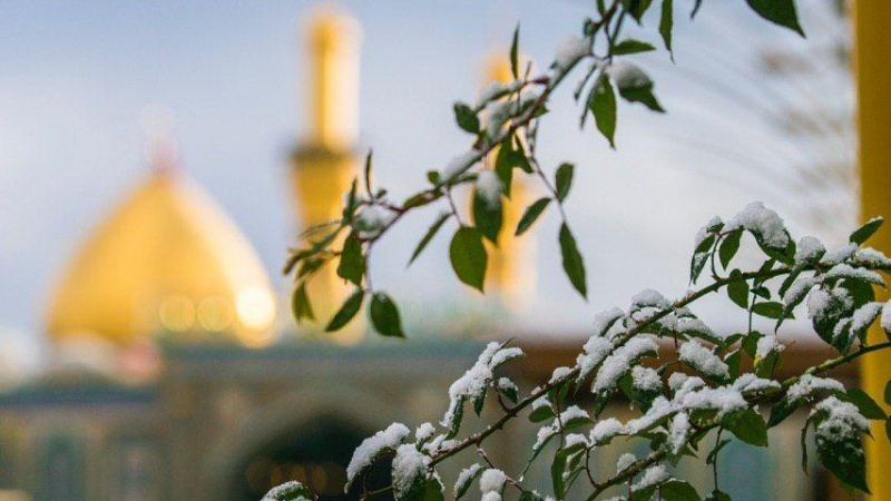 کربلا میں صدی کی دوسری برفباری ۔ تصاویر