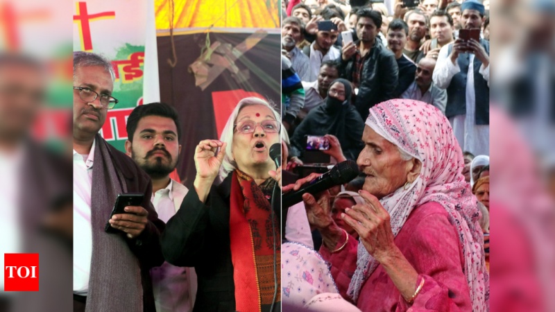 शाहीन बाग़, सुप्रीम कोर्ट और सरकार, ऊंट किस करवट बैठेगा