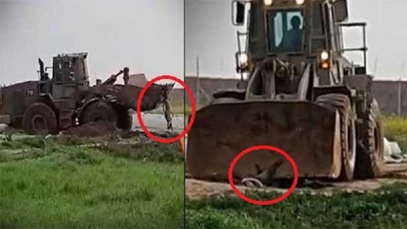 فلسطینی شہید کے جسد کی صیہونیوں نے کی بے حرمتی