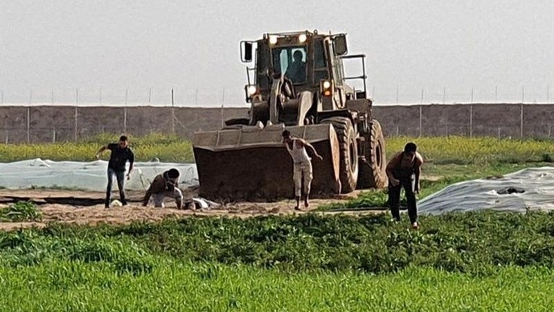 イスラエル軍がガザ地区で非人道的犯罪