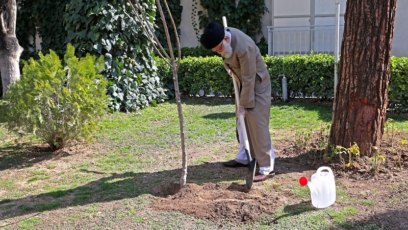 Ayetullah Hamanei iki fidan dikti