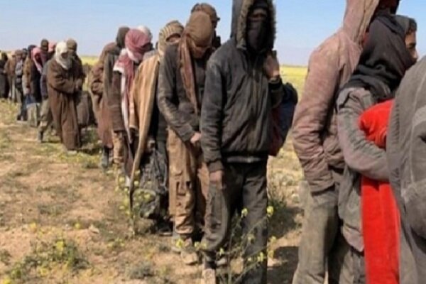 بڕیاری کوردی سووریا بۆ دادگایی کردنی ۲۰۰۰ ئەندامی داعش