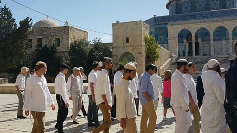 Quds, 163 coloni invadono al-Aqsa