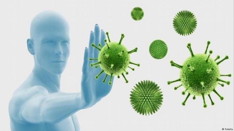 Coronavirus, Cina: 11 morti e 15 contagi