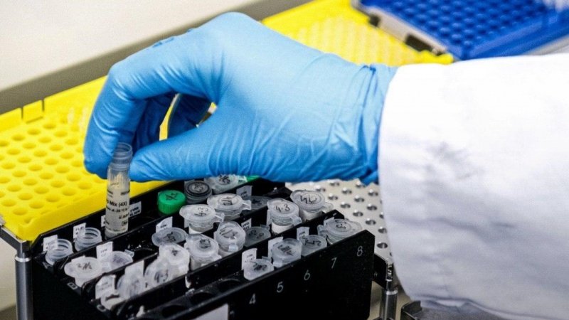 Исследователи сообщают: обнаружено антитело к Covid-19