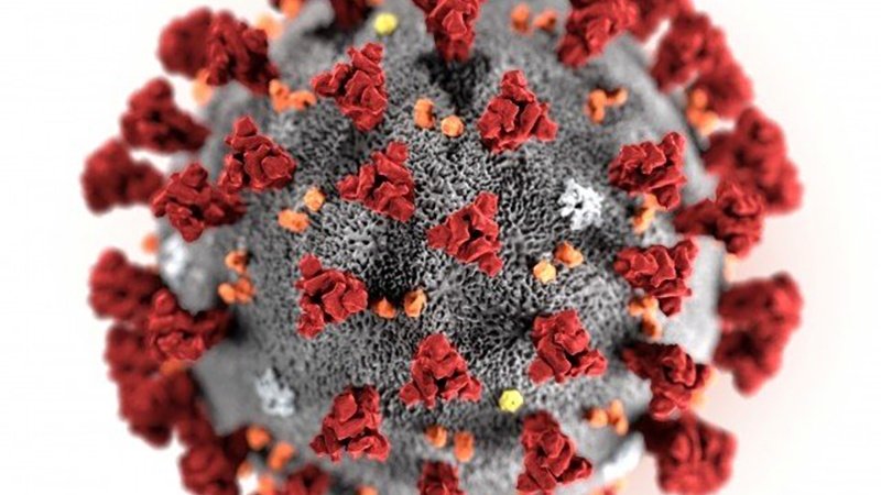 R. Unito, un documento top segreto: coronavirus durerà per un anno