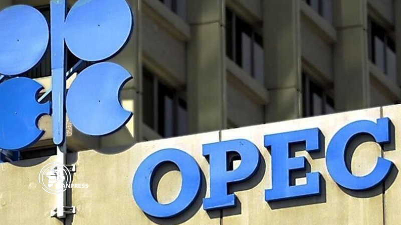 Cremlino commenta l'idea dell'Iraq di convocare l'OPEC+