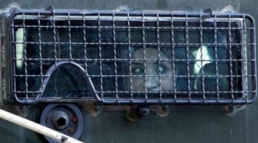 أمّهات فلسطينيات يعانين الأمرّين في سجون الاحتلال