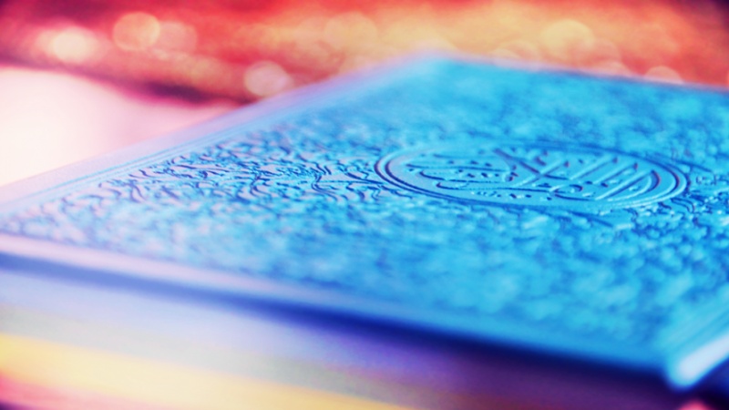 आयत क्या कहती हैं? क्या ईश्वर की इच्छा के मुक़ाबले में तुम्हारे पास कोई शरण स्थल है जहां पहुंच कर तुम उसकी इच्छा के क्षेत्र से ब