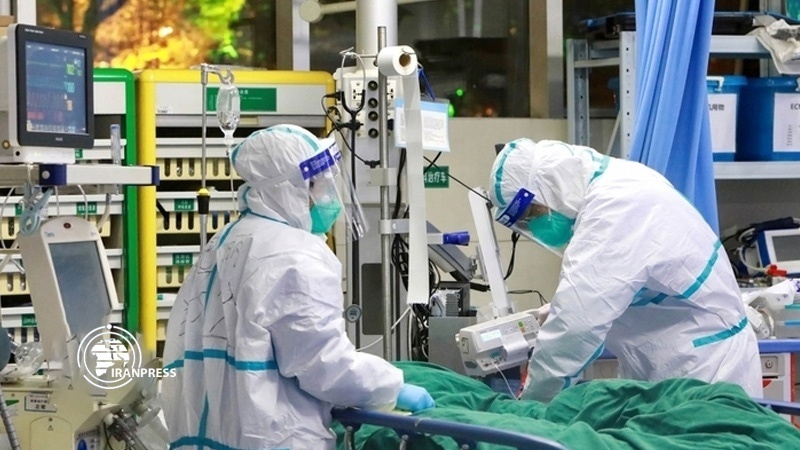Coronavirus: nessun caso, 39 importati
