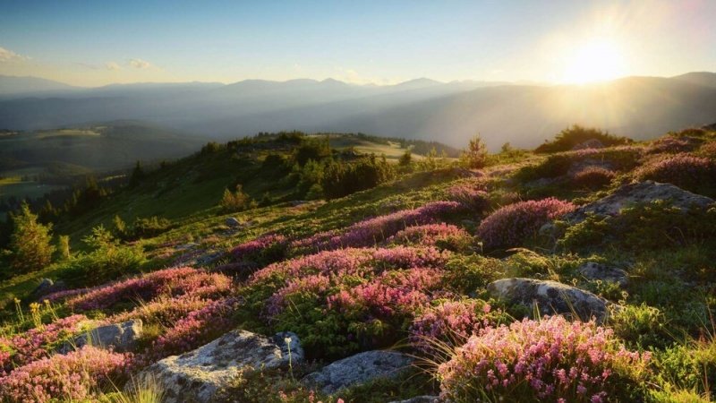 بشر سے تنگ آ چکی دنیا میں اب بھی باقی ہیں قدرتی رعنائیاں