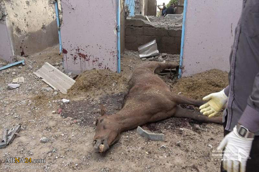 Saudi warplanes targets horses’ stables in Military College in Sana’a