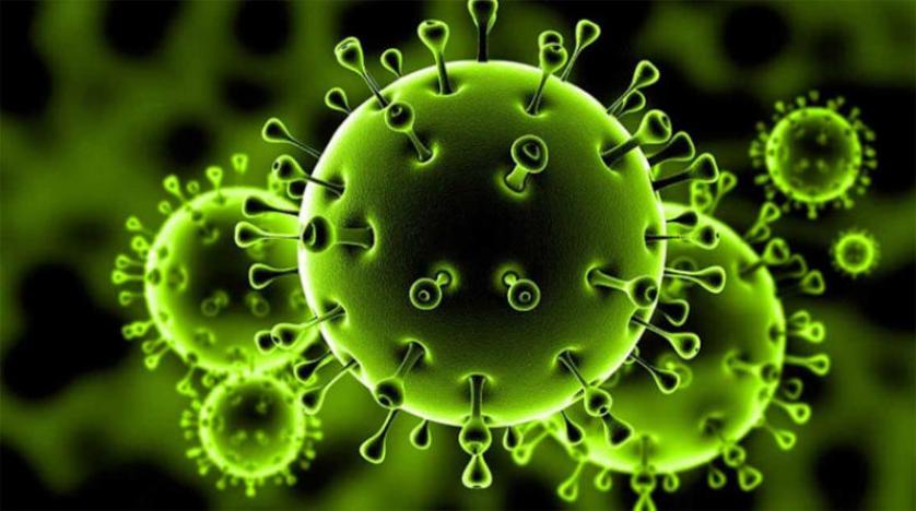 هولندا تغرّم كل من يسير في مجموعة أكثر من 3 أفراد